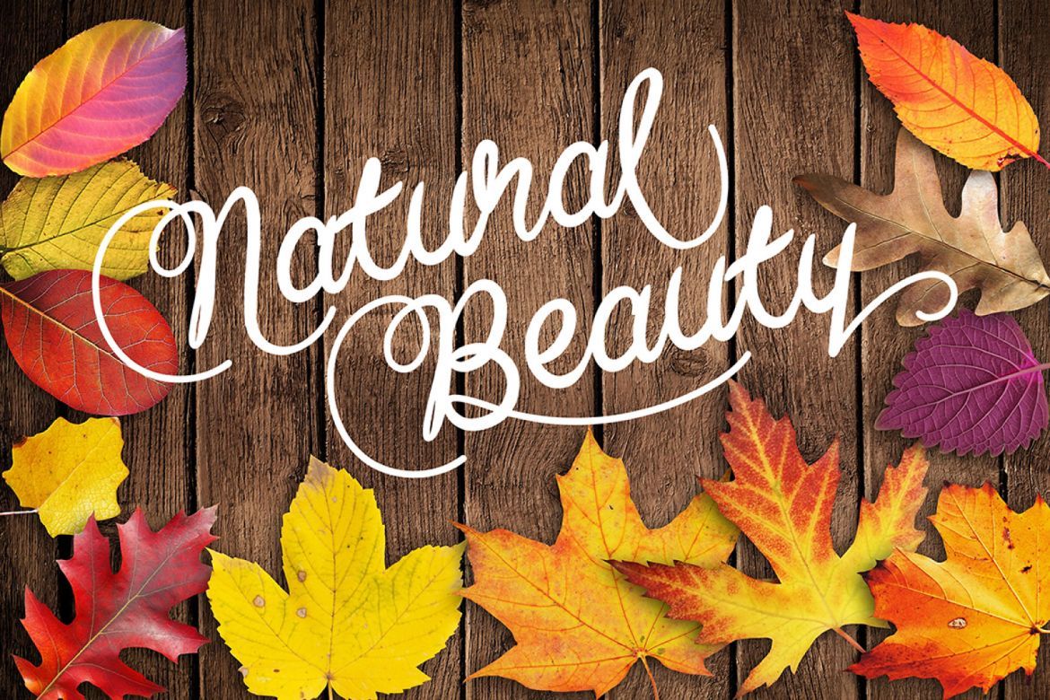 Baline script font - view 9