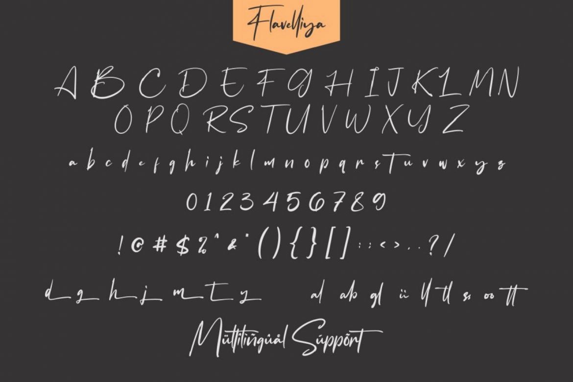 Flavellya - Luxury Signature Font - view 10