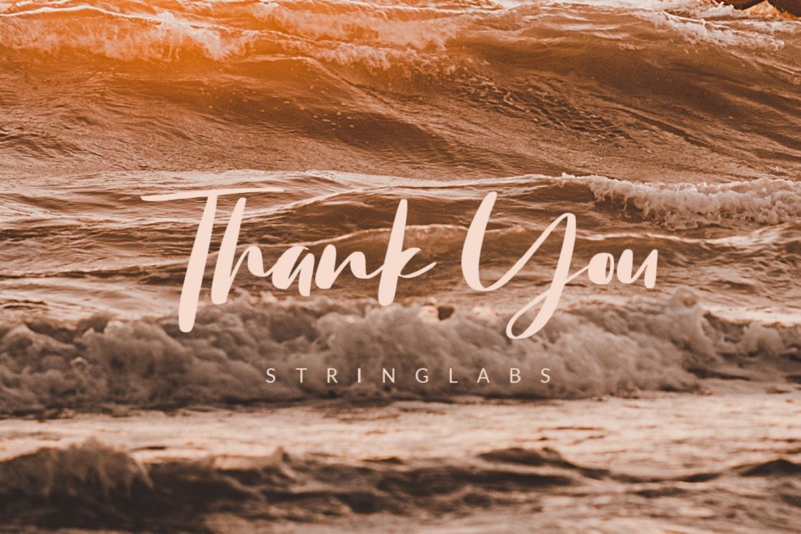 Chellyne - Modern Script Font - view 8