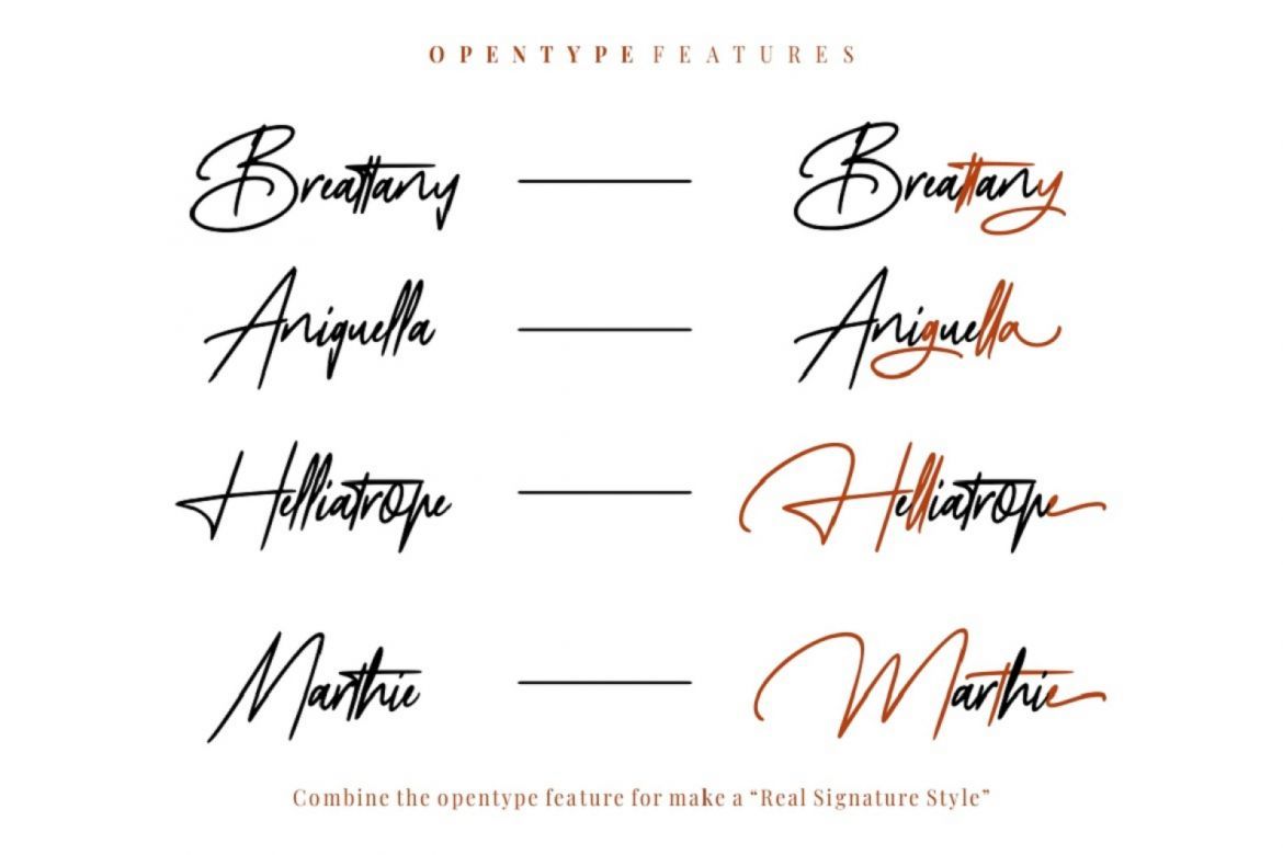 Mayestica - Luxury Signature Font - view 5
