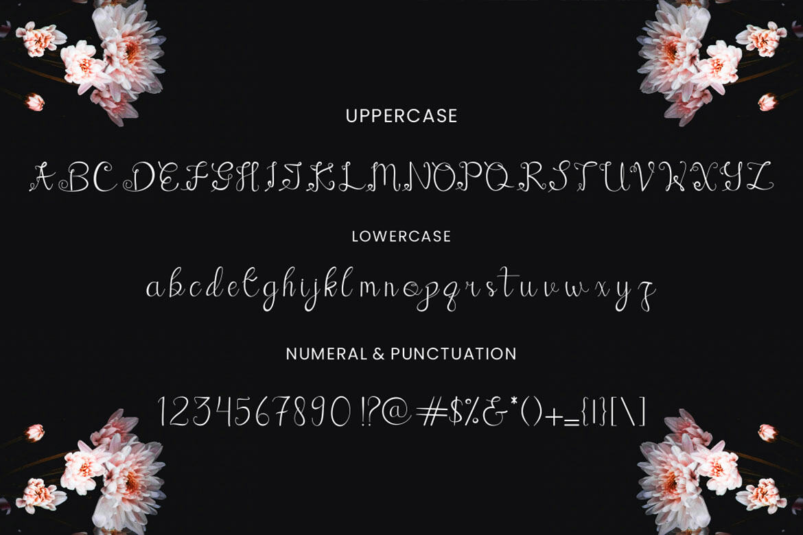 Angellina Font - view 3