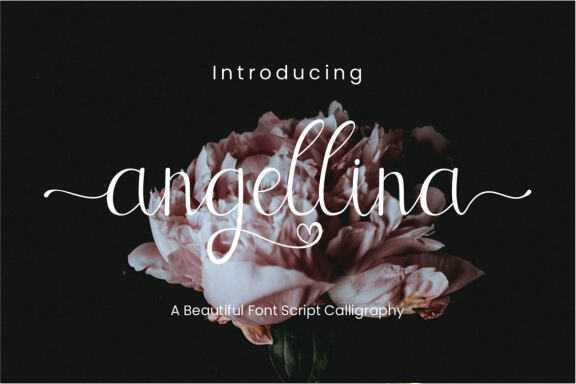 Angellina Font - view 6