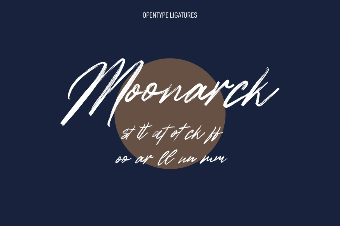 Northloops Brush FREE Script Font - view 9