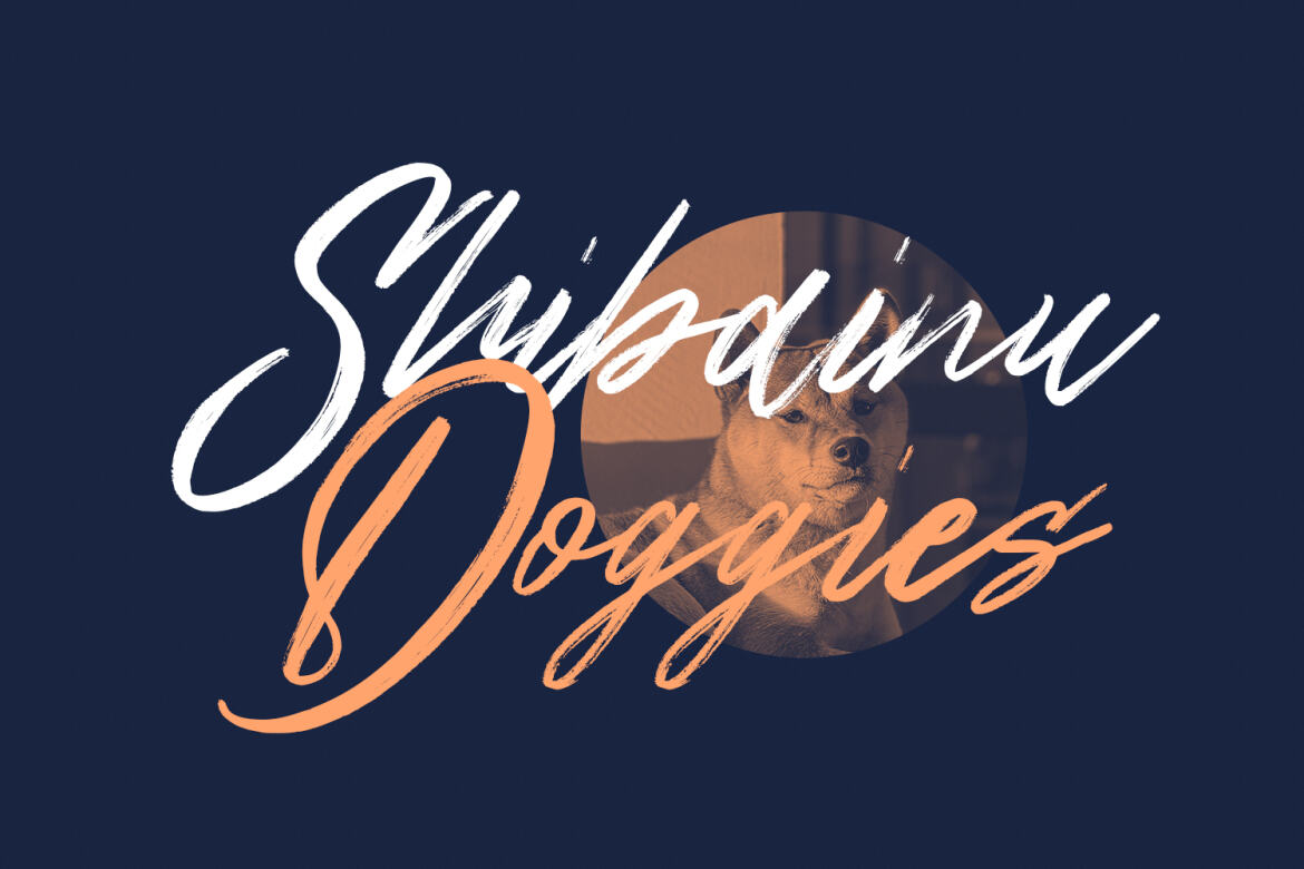 Northloops Brush FREE Script Font - view 5