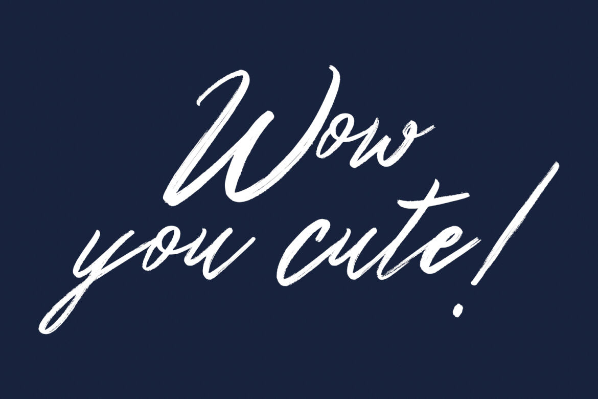 Northloops Brush FREE Script Font - view 10