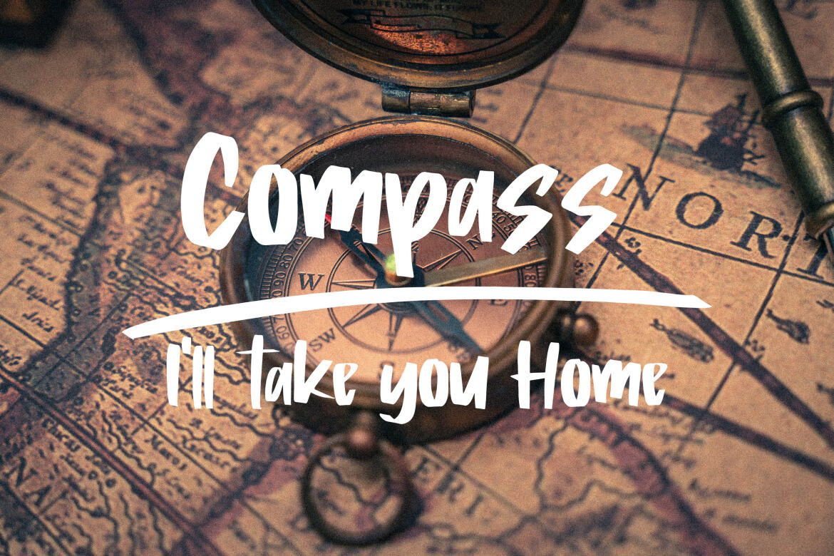 Roger Bold - FREE Brush Font alt