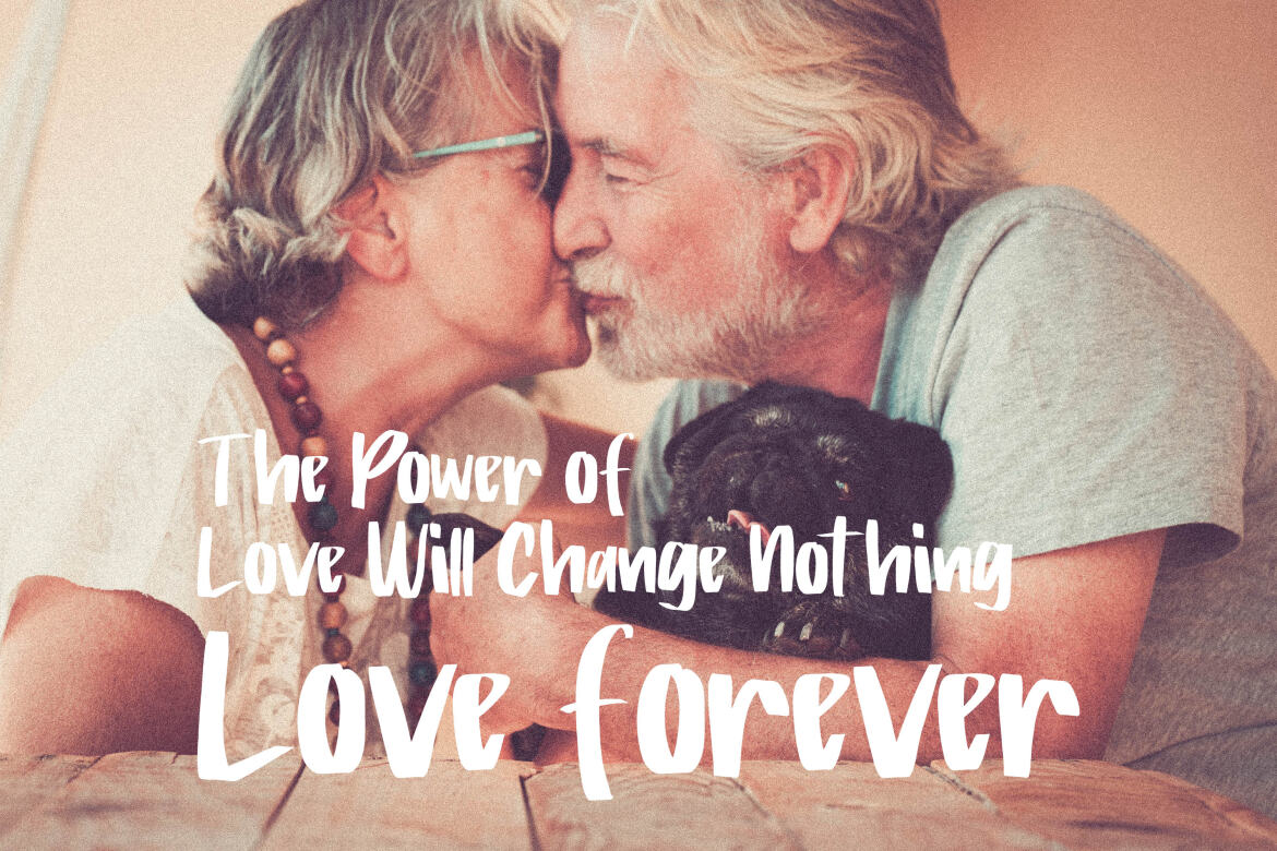 Roger Bold - FREE Brush Font - view 3