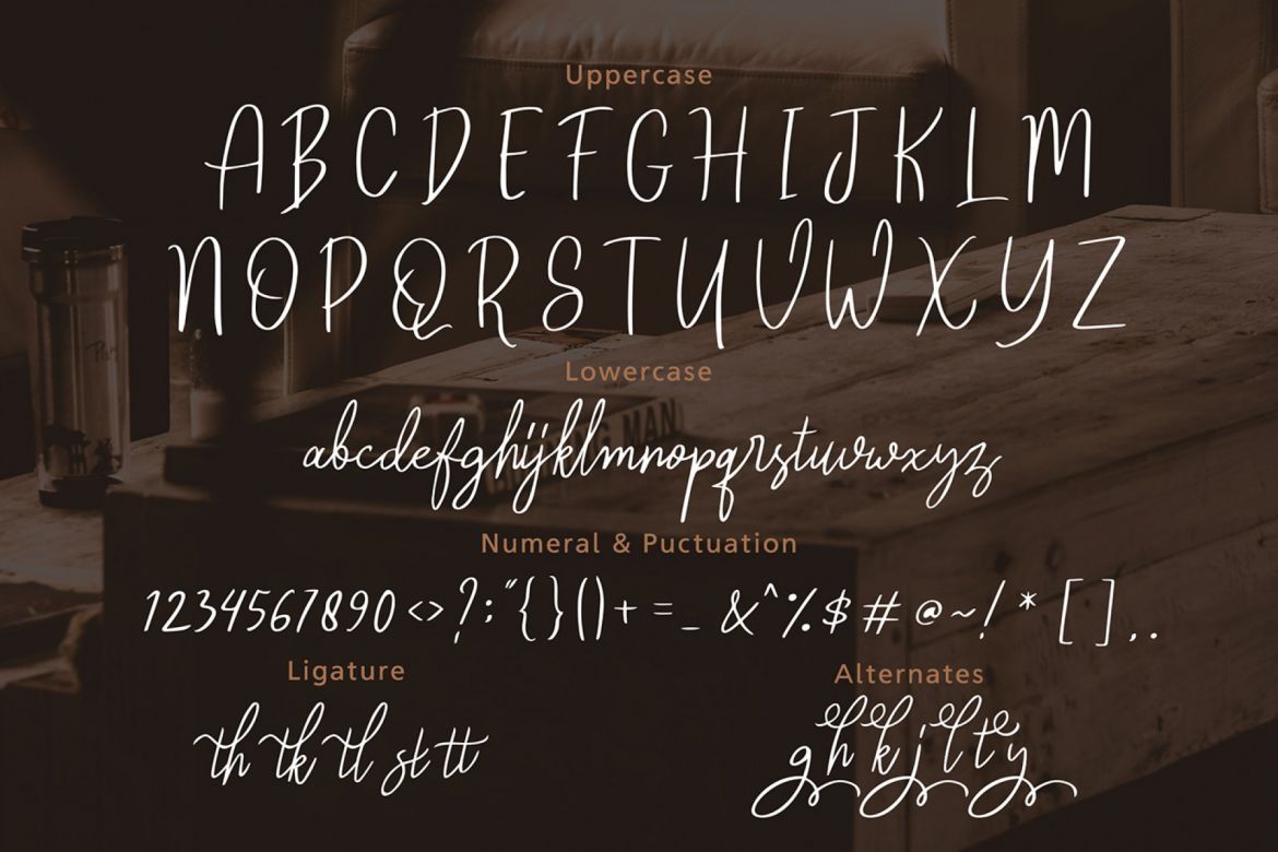 Reghina - Beautiful Feminine Script Font - view 4