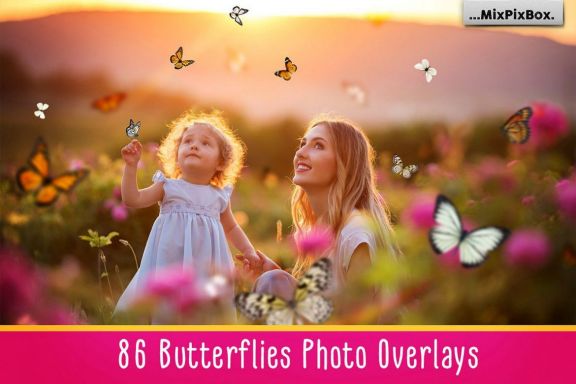 Butterflies Photo Overlays