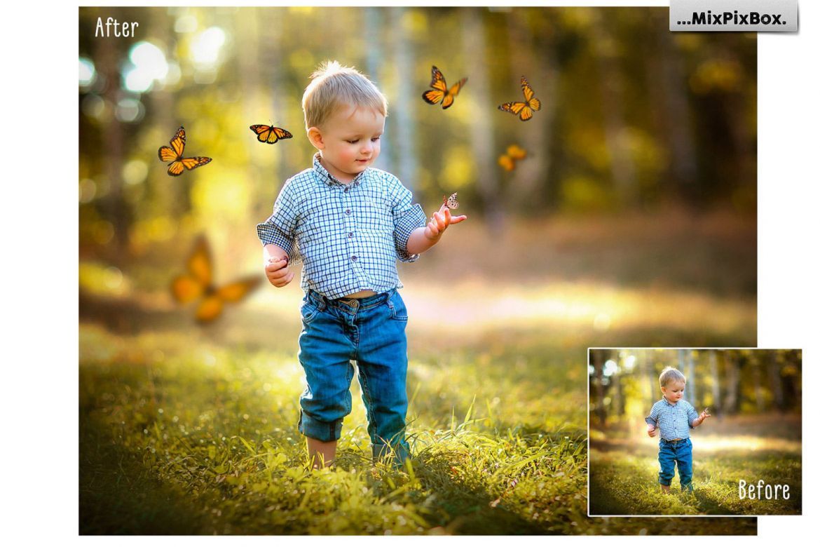 Butterflies Photo Overlays alt