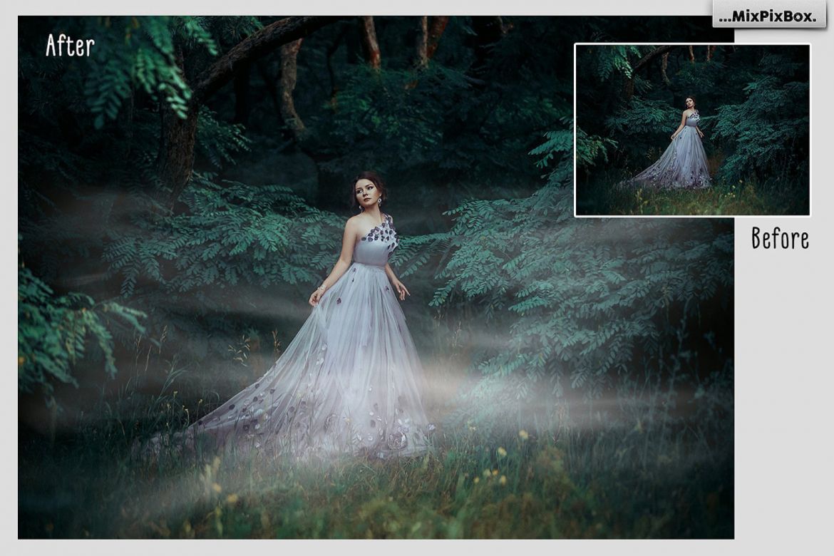 Fog Photo Overlays - view 6