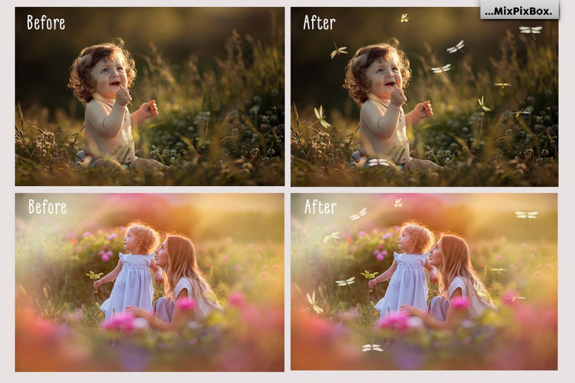 Dragonfly Photo Overlays alt