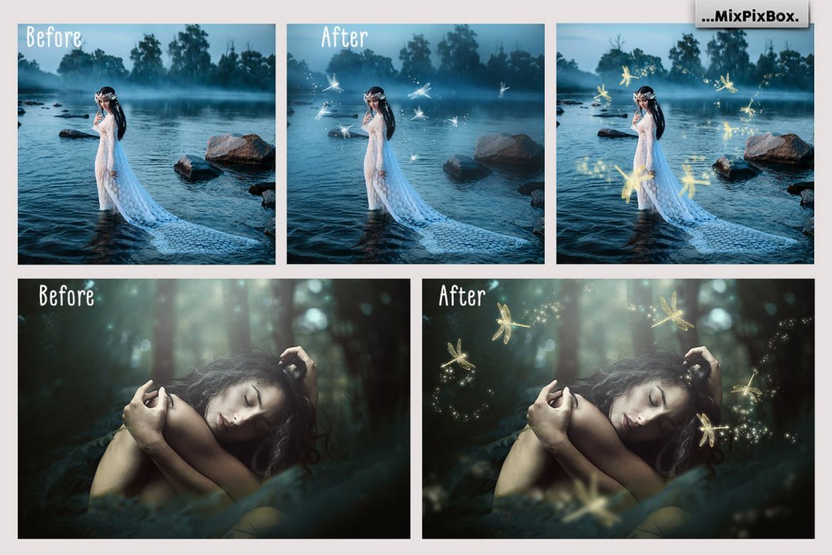 Dragonfly Photo Overlays - view 3