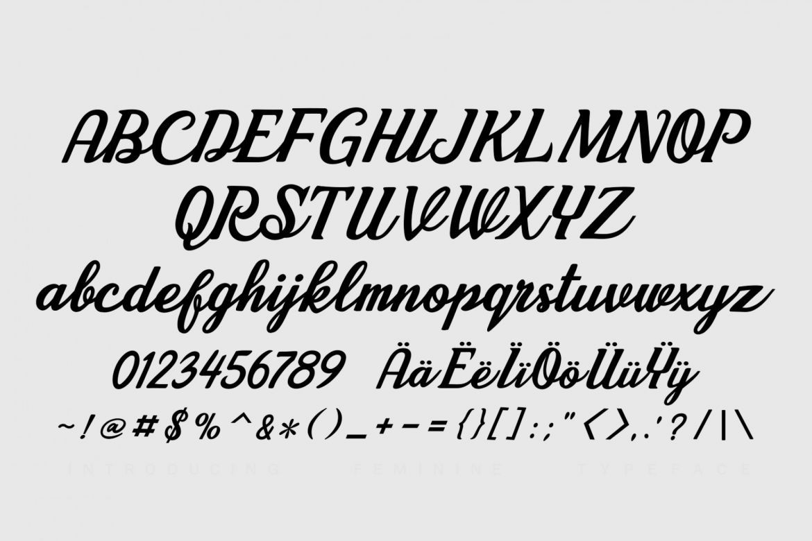 Cherry Angela Script Font alt