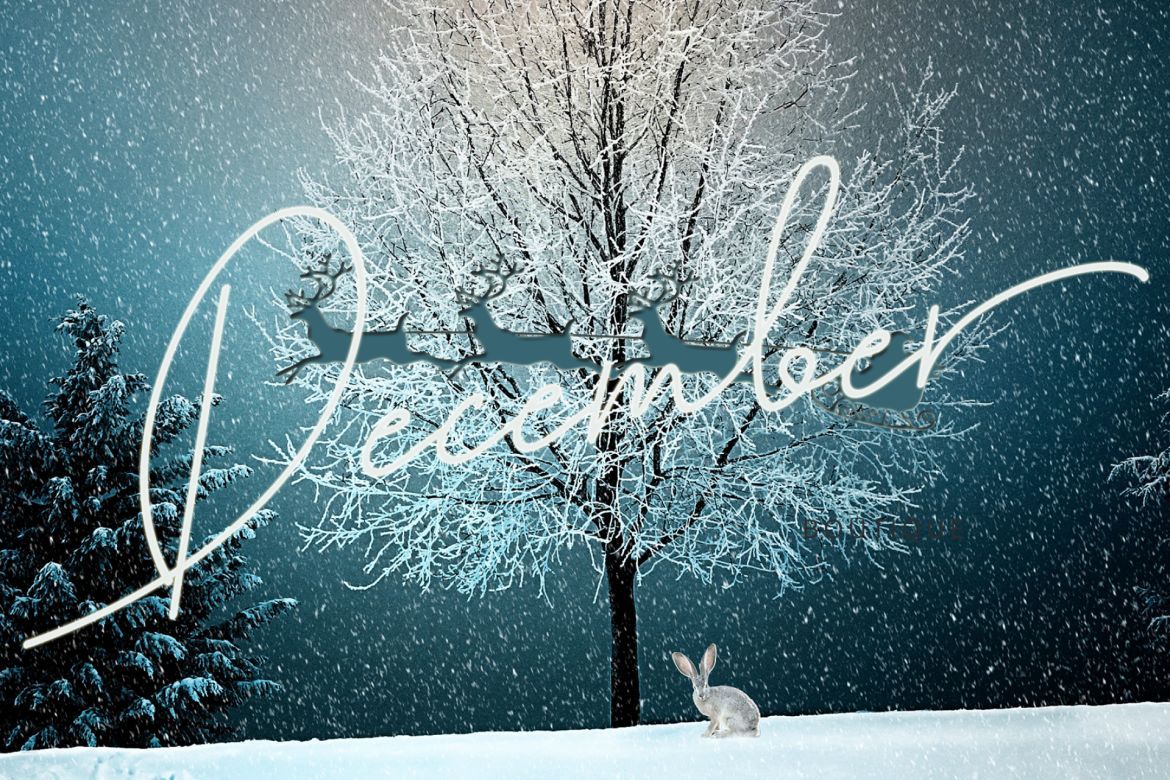 Cutyle Monoline Script - view 6