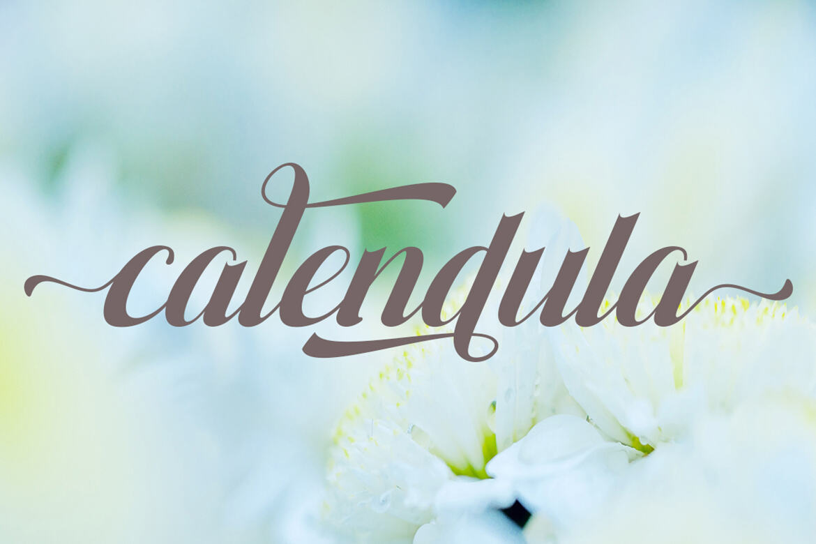 Amania FREE Retro Script - view 6