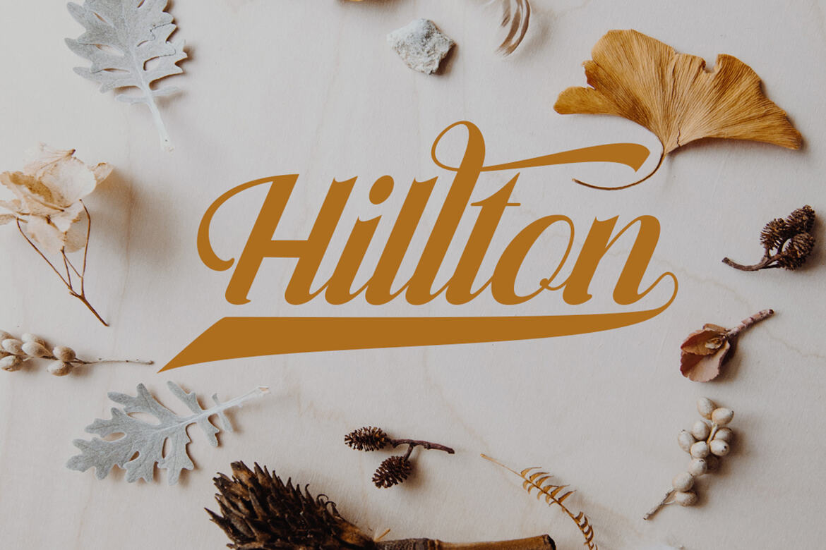 Amania FREE Retro Script - view 4