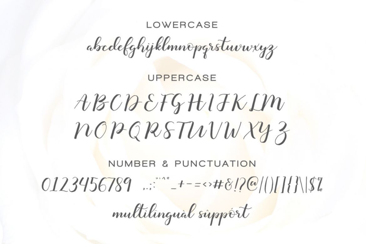 Monatia - Elegant Script - view 5
