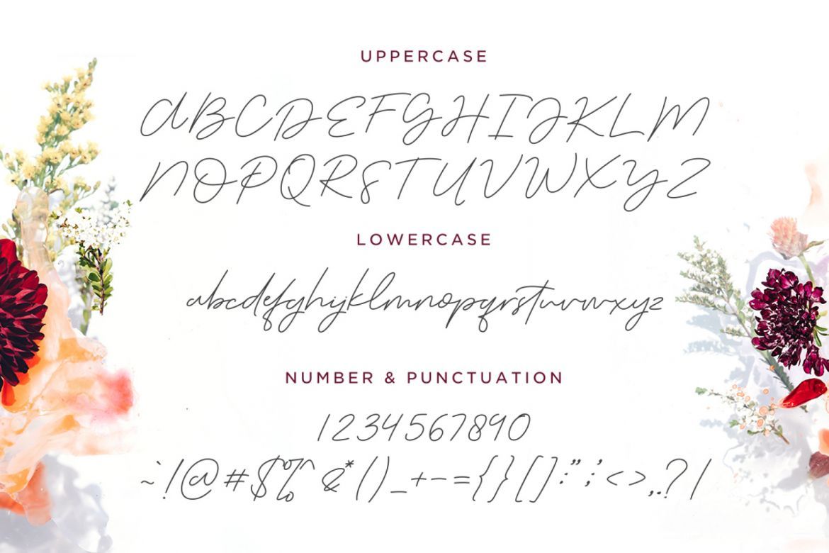 The Serenity - Lovely Script - view 13