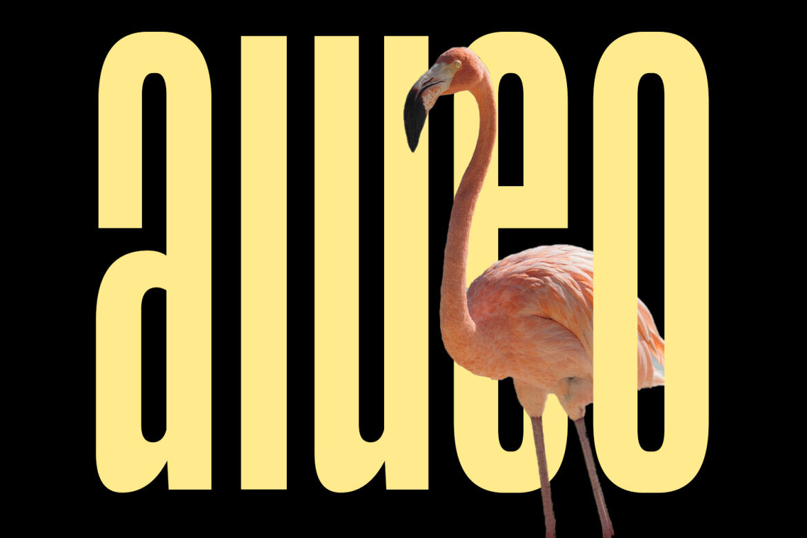 Sommar FREE Display Font - view 7