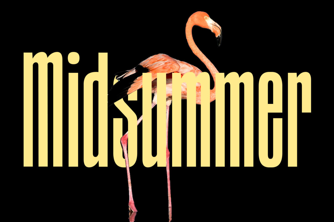 Sommar FREE Display Font - view 3