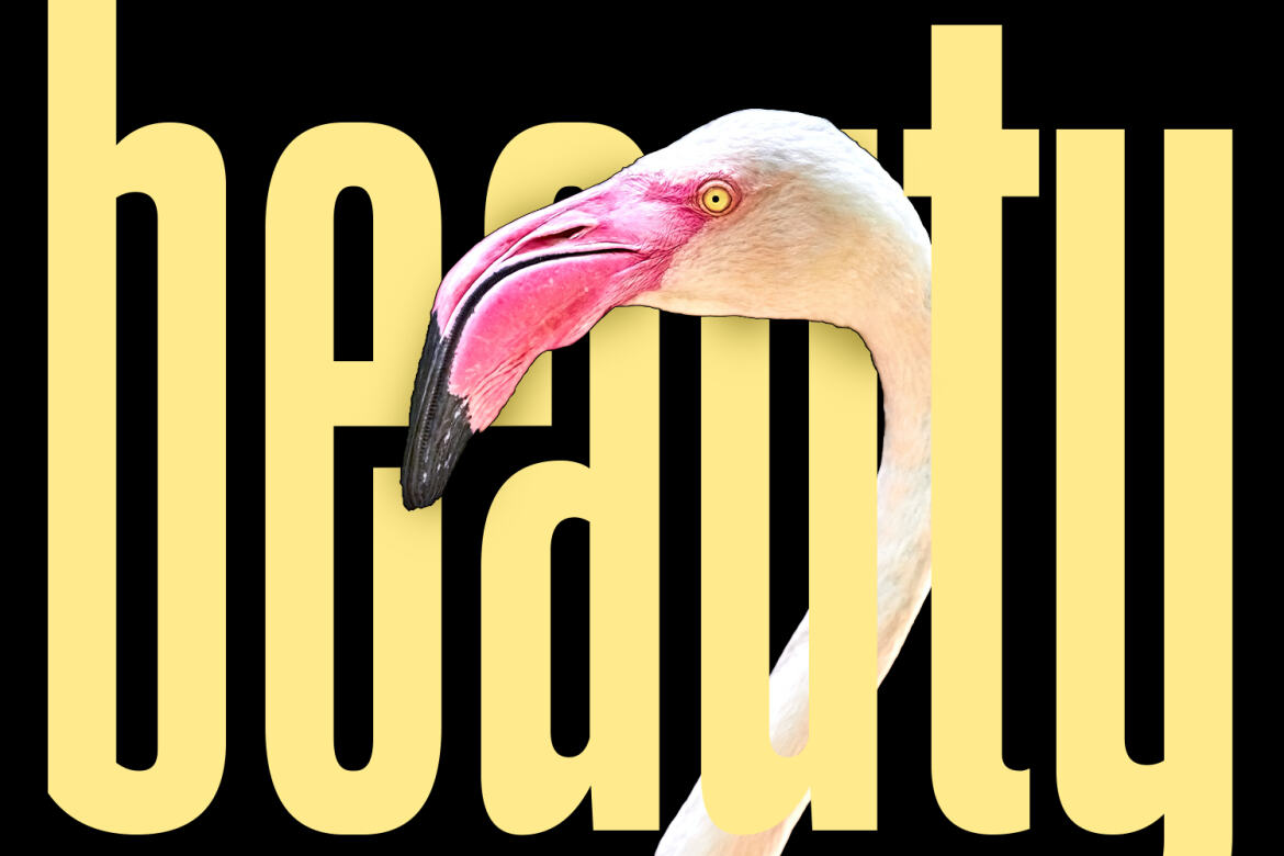 Sommar FREE Display Font - view 10