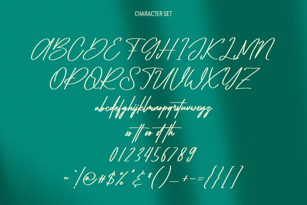 Blywoofs FREE Signature Font - view 8
