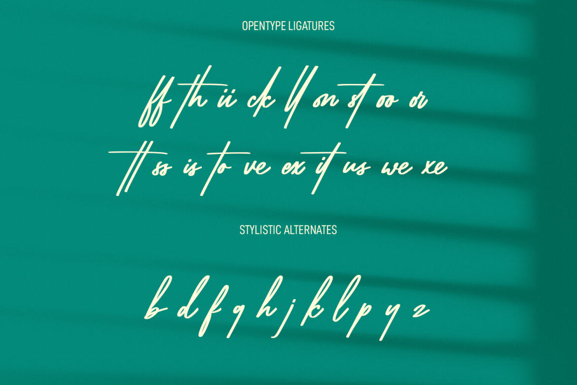 Blywoofs FREE Signature Font - view 9