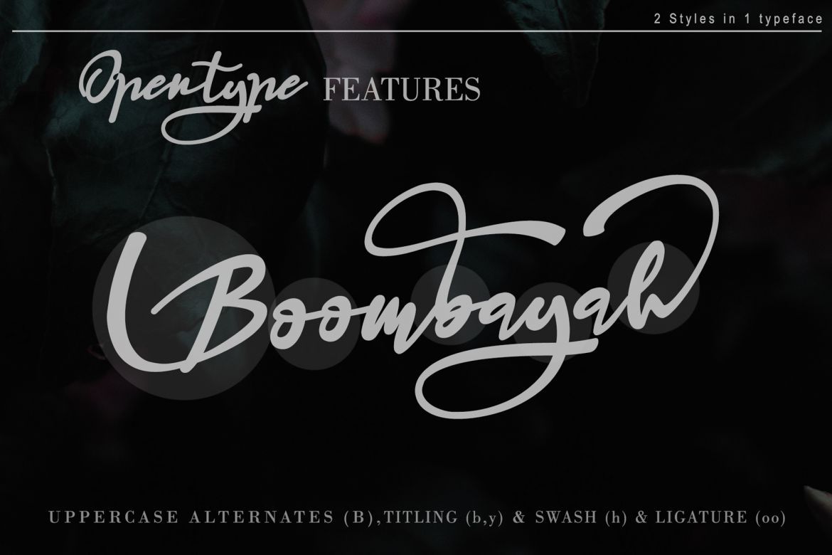 Haruka Bold Script - view 3