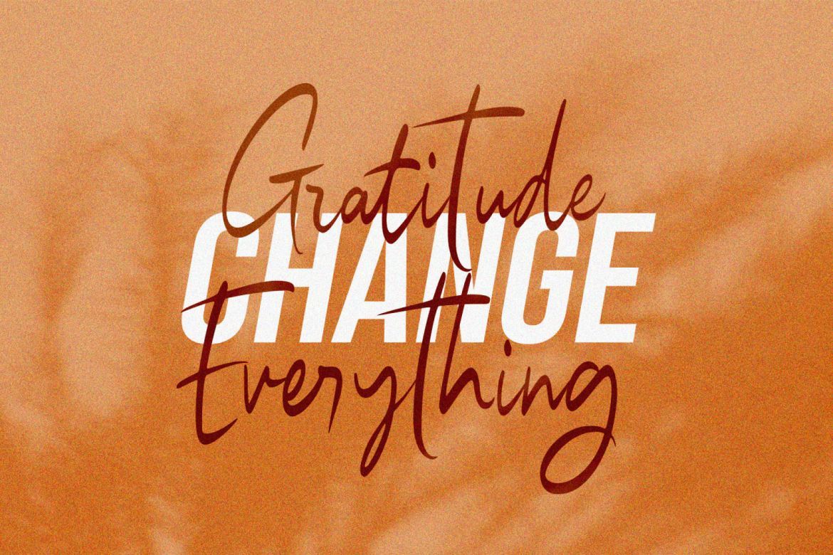 Hurrion Script - view 6