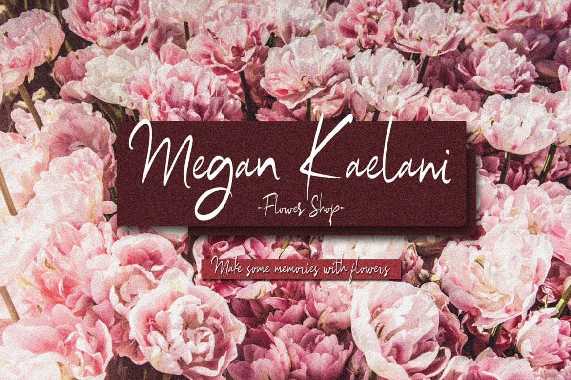 Hurrion Script - view 9