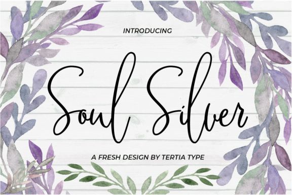 Soul Silver script