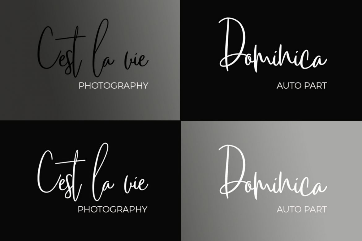 Soul Silver script - view 5