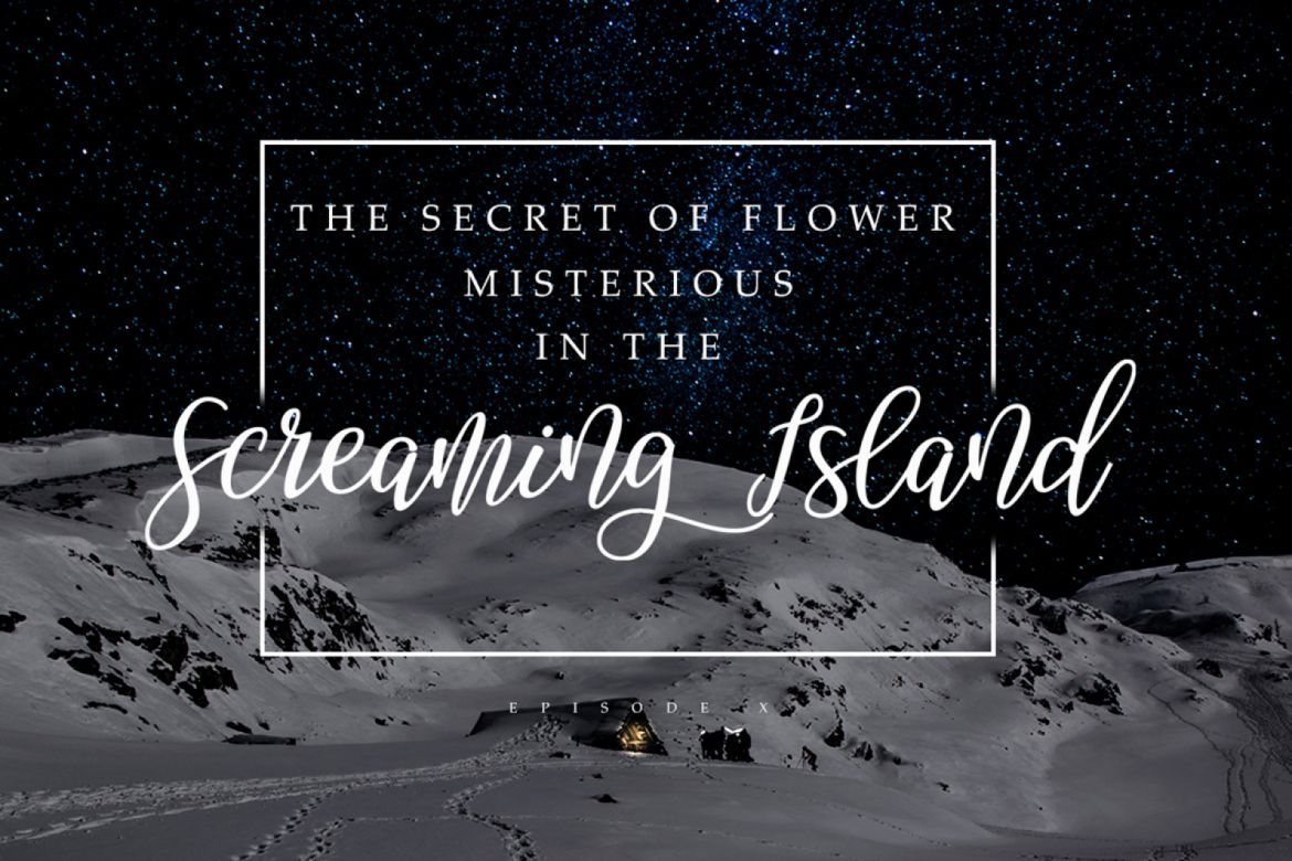 Champagne script alternate