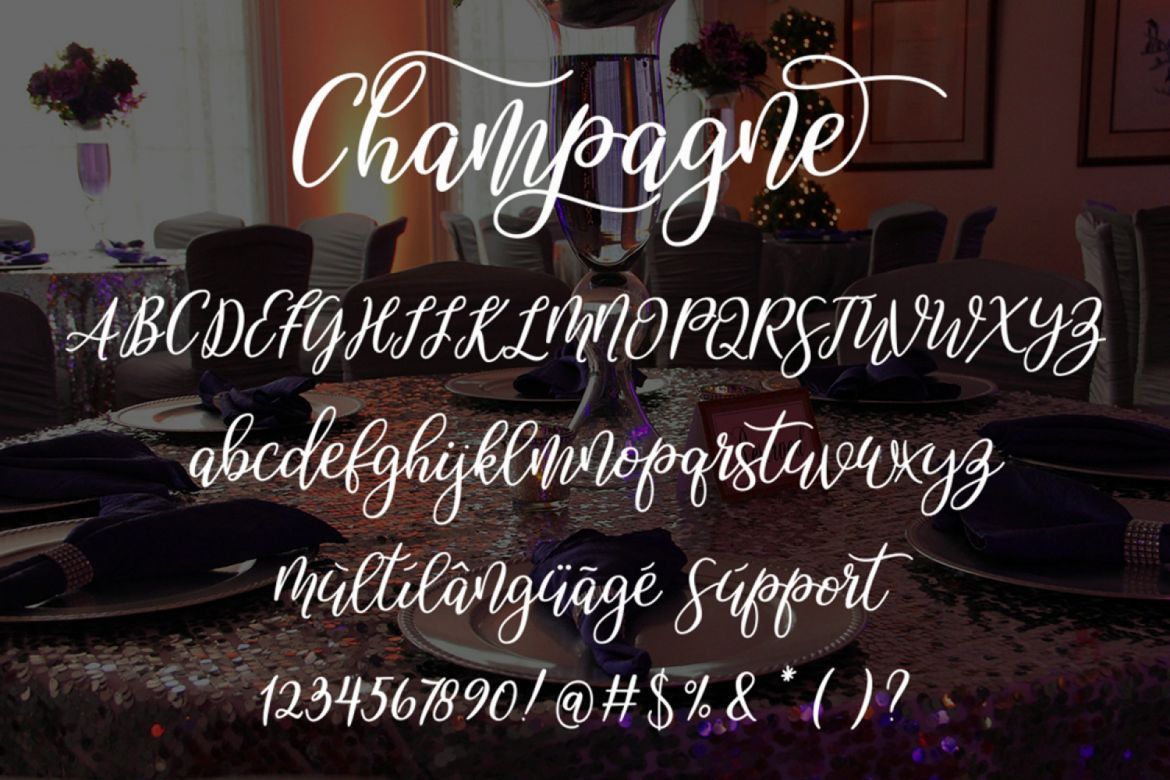 Champagne script - view 7