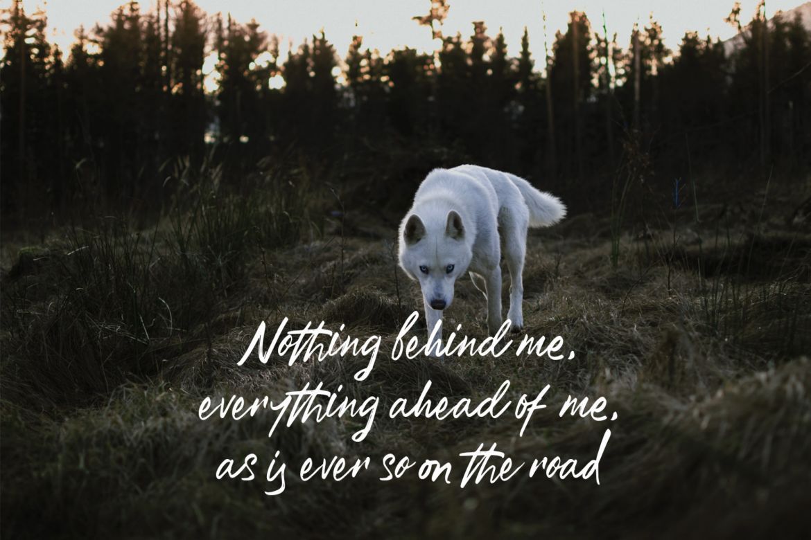 Rustic Script - view 5