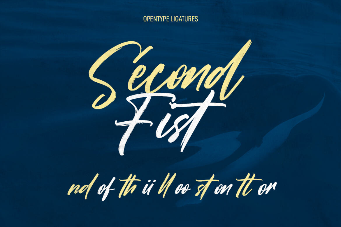 Mitoda Reels FREE Brush Script - view 9