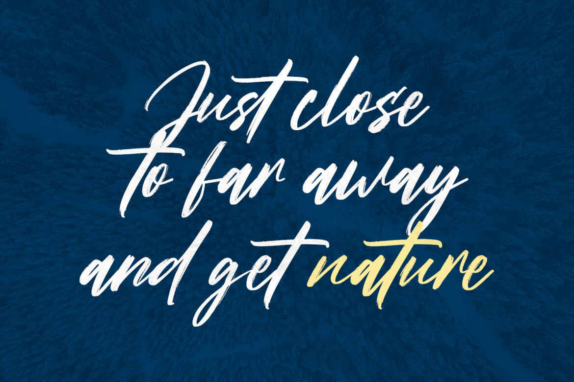 Mitoda Reels FREE Brush Script - view 7