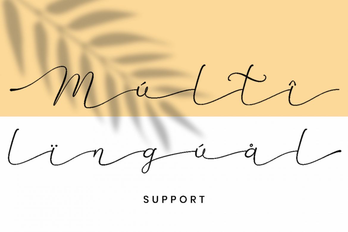 Betti Script - view 5