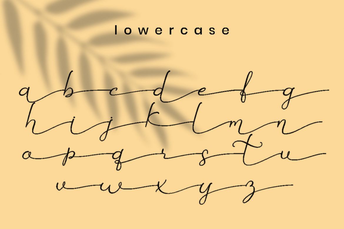 Betti Script - view 6