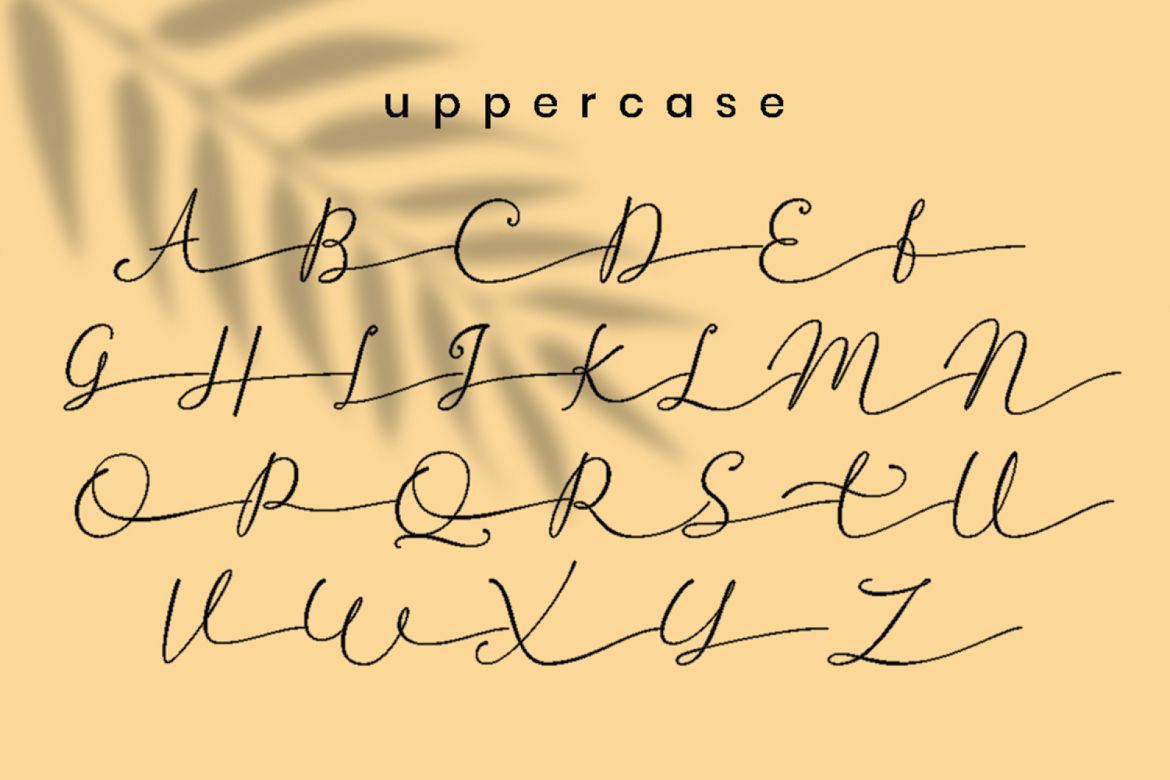 Betti Script - view 7