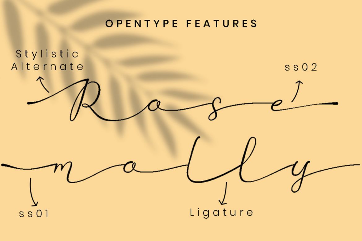 Betti Script - view 8