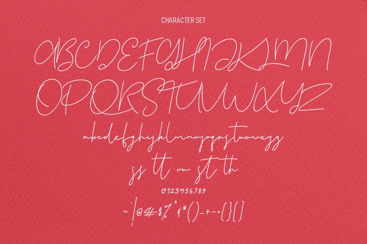 Christie Dianna FREE Font - view 7