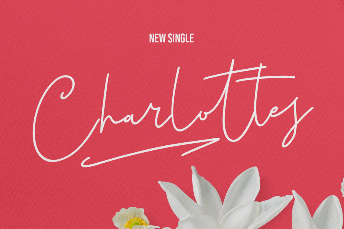 Christie Dianna FREE Font - view 5