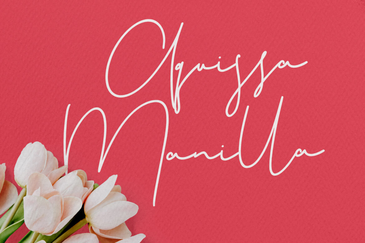 Christie Dianna FREE Font - view 4