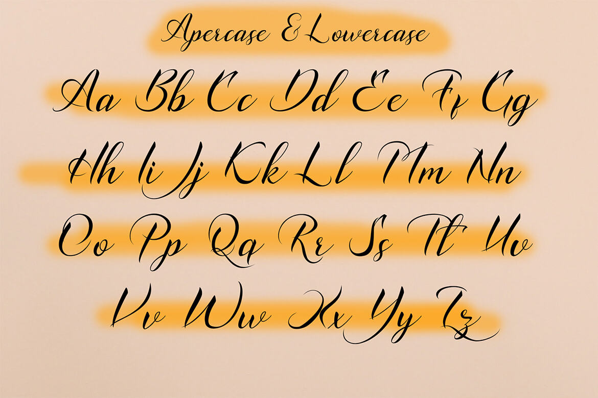 Carlotte FREE Script - view 6