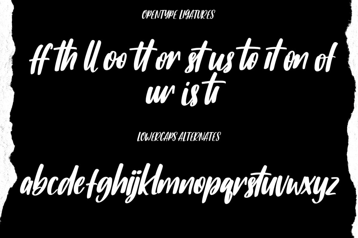 Affectus FREE Handwritten Script - view 10