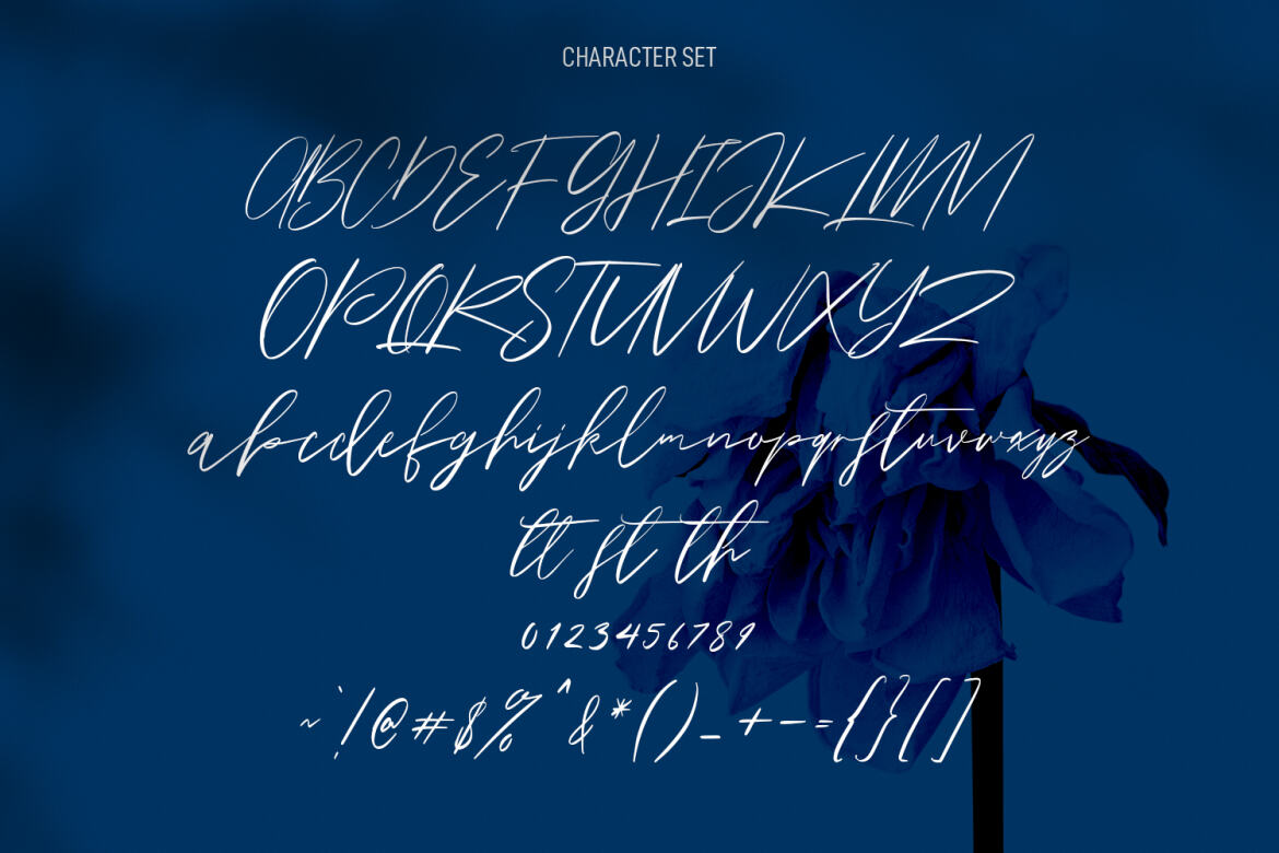 Owlishly Signature FREE Script - view 8