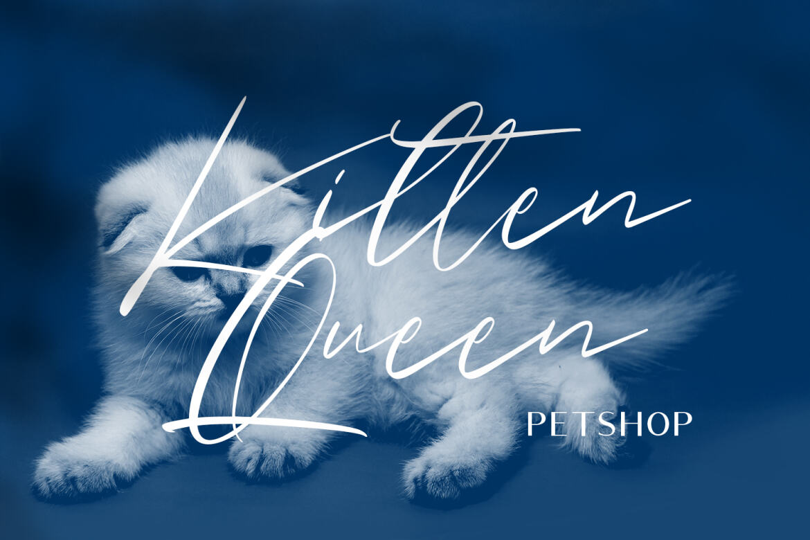 Owlishly Signature FREE Script - view 4