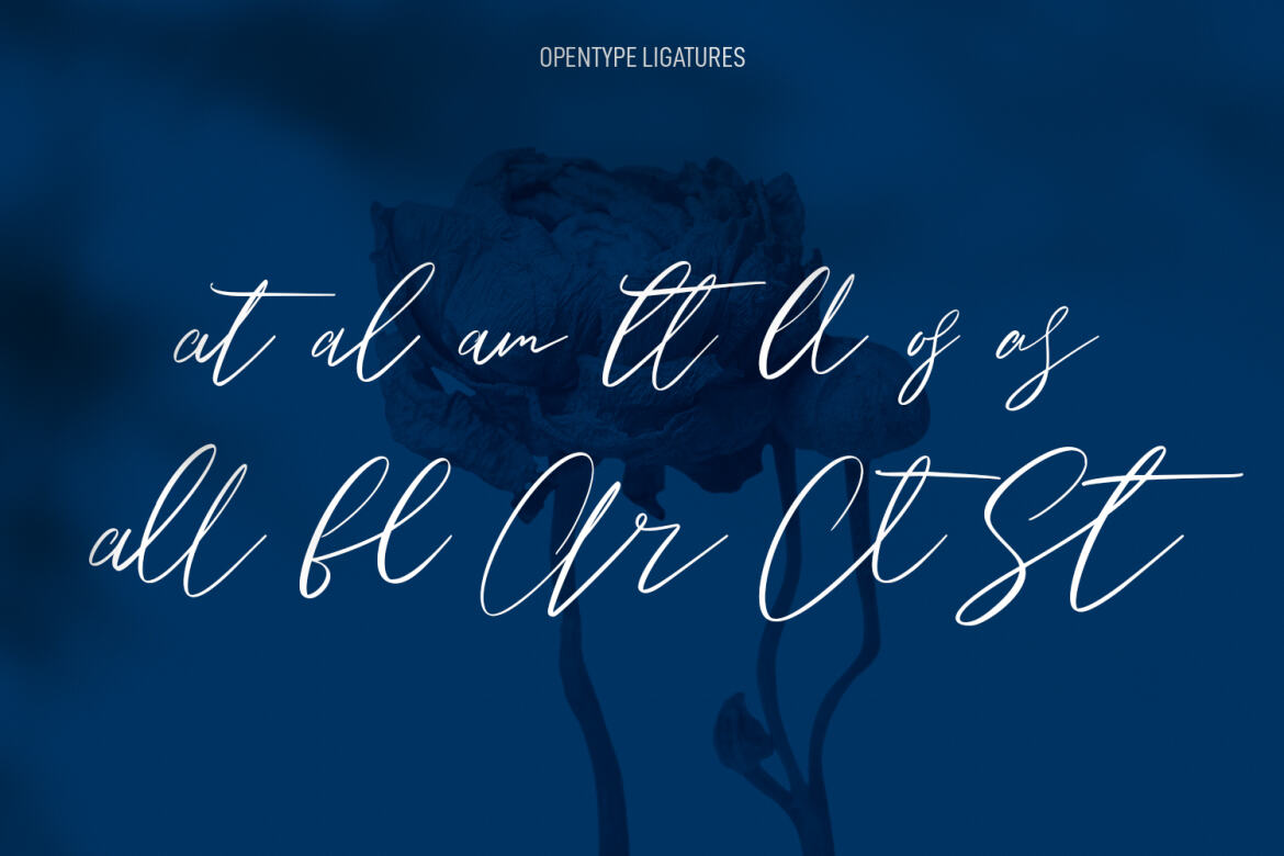 Owlishly Signature FREE Script - view 9